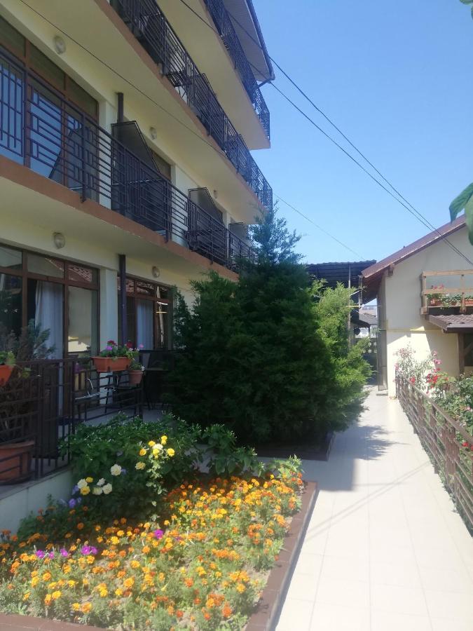 Villa Pescarus コスティネシュティ エクステリア 写真